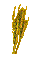 Barley.gif
